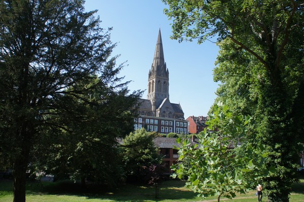 Exeter Trees & Shrubs logo