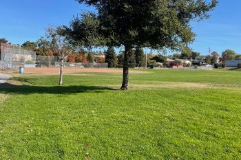 Outdoor Field 