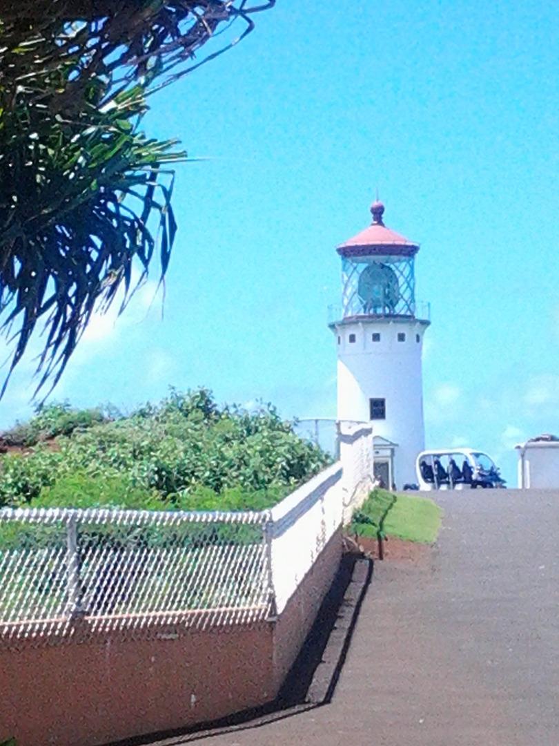Kauai Private Tour photo 3