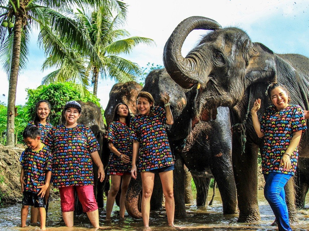 Full day at Kanta Elephant Sanctuary Camp (joined tour)