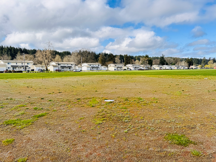 Baseball Field Grass