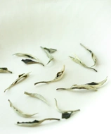 Green Peony from Cultivate Tea