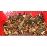 Stawberry Sassafras from Cozee Teas