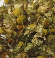 Organic Egyptian Chamomile from Murchie's Tea & Coffee