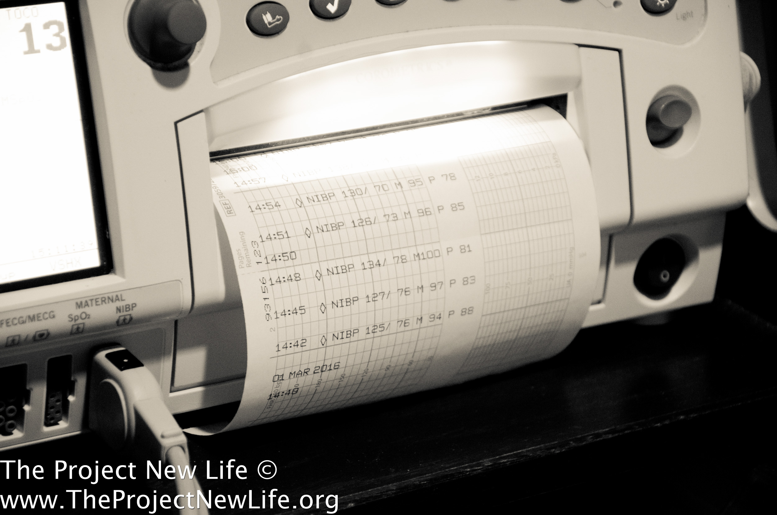 theprojectnewlife.org logo