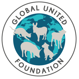 GLOBAL UNITED FOUNDATION logo