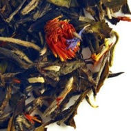 White Coconut Creme from Element Tea