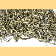 Premium Mao Feng Yunnan Green Tea Spring 2015 from Yunnan Sourcing