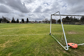 Soccer Field - Grass