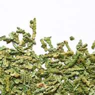 Thuya (Thuja / White Cedar) from Floèm (formerly PilKi)