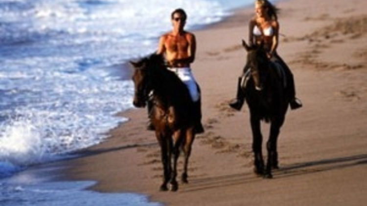 Horse Riding for Two in Hawaii