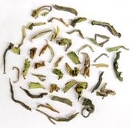 2011 Darjeeling First Flush Premium Black Tea Blend from DarjeelingTeaXpress