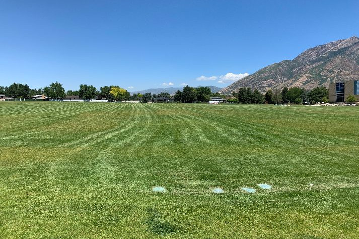 Fields