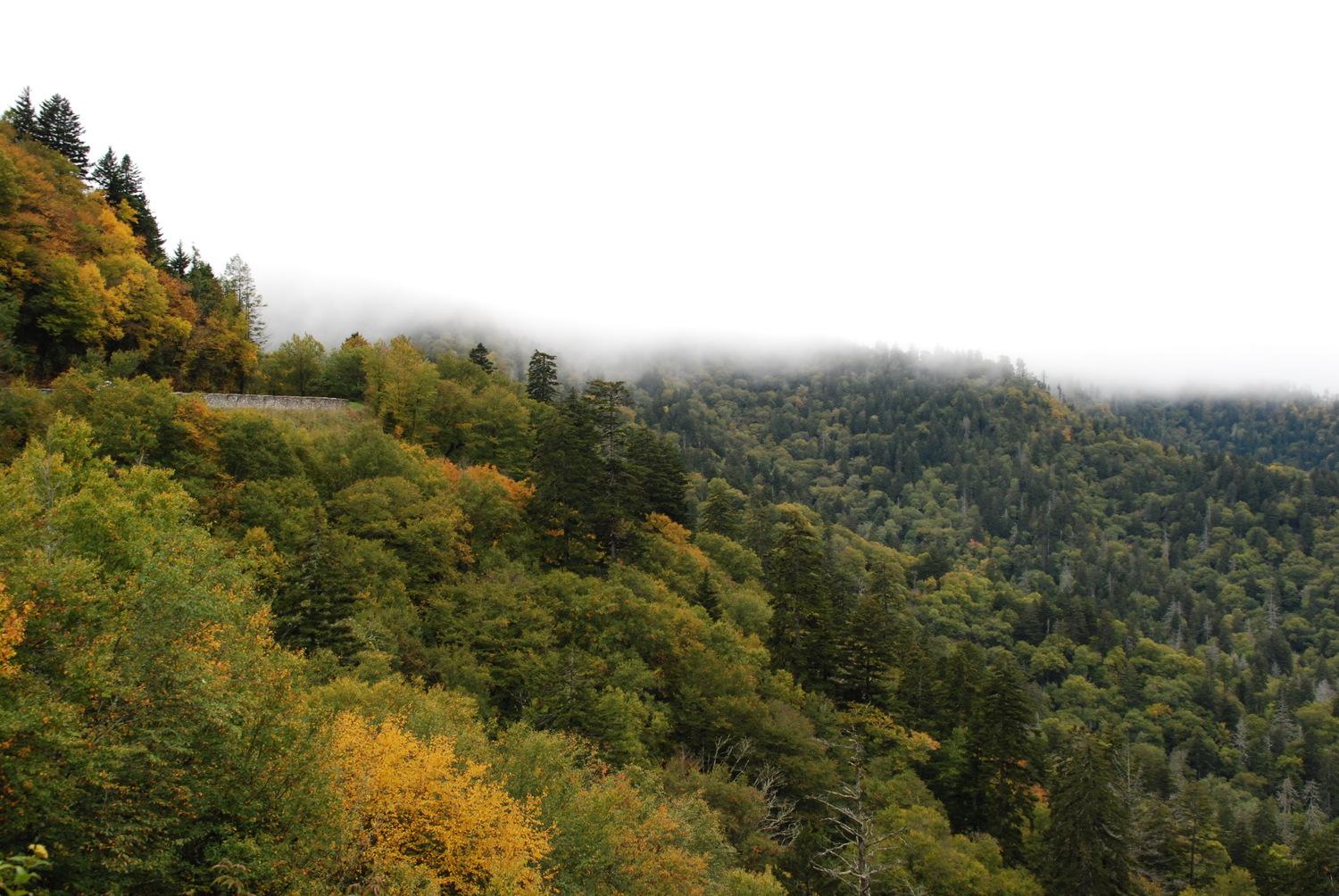 Mountains and Moonshine with Smoky Mountain Guides in the Smoky Mountains - Gatlinburg