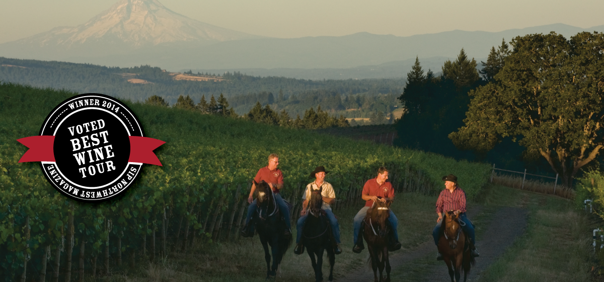 Horseback Wine Tasting in Dundee with Equestrian Wine Tours - Portland