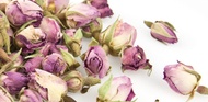 Just Rose from T2