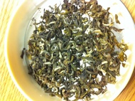 Jun Chiyabari Himalayan Evergreen from SafaHimalaya