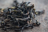 Duck Yeah Yashi Xiang Dancong Wulong from Bitterleaf Teas