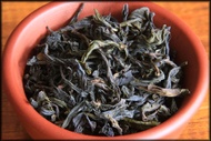 Wildcrafted Da Hong Pao from Whispering Pines Tea Company