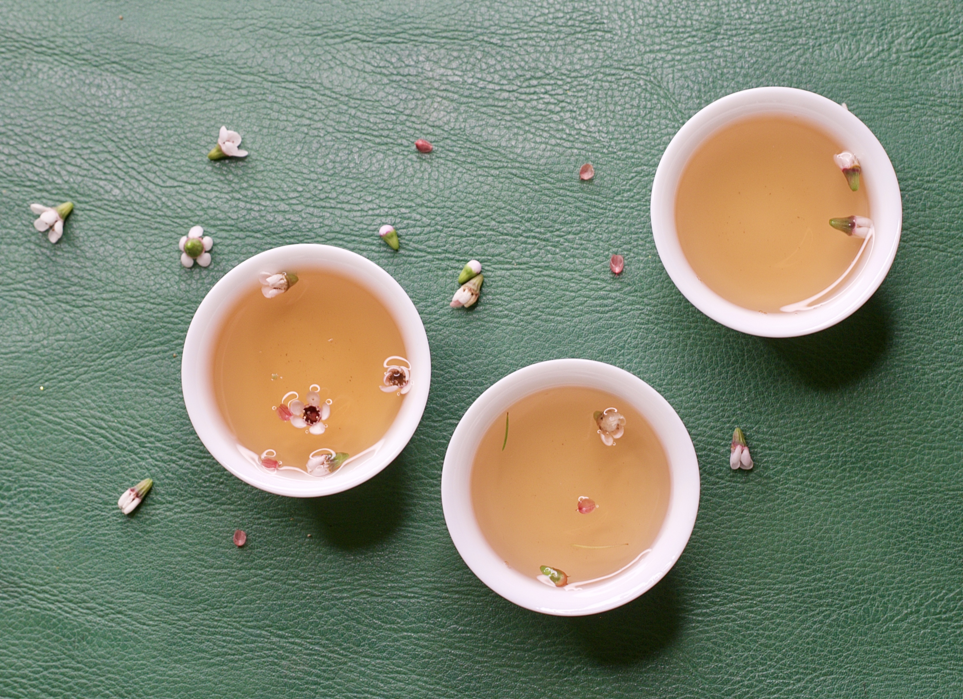 Product image for Tea Knowledge 101