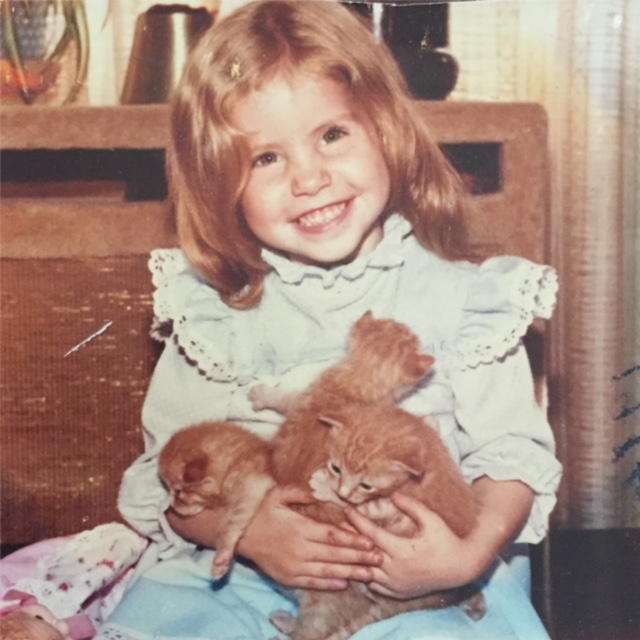 Fostercatsandkittens logo