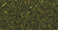 Spearmint from Shanti Tea