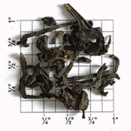 Banaspaty Estate FTGFOP1 Organic (TA19) from Upton Tea Imports