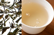 Bai Mu Dan from Samovar