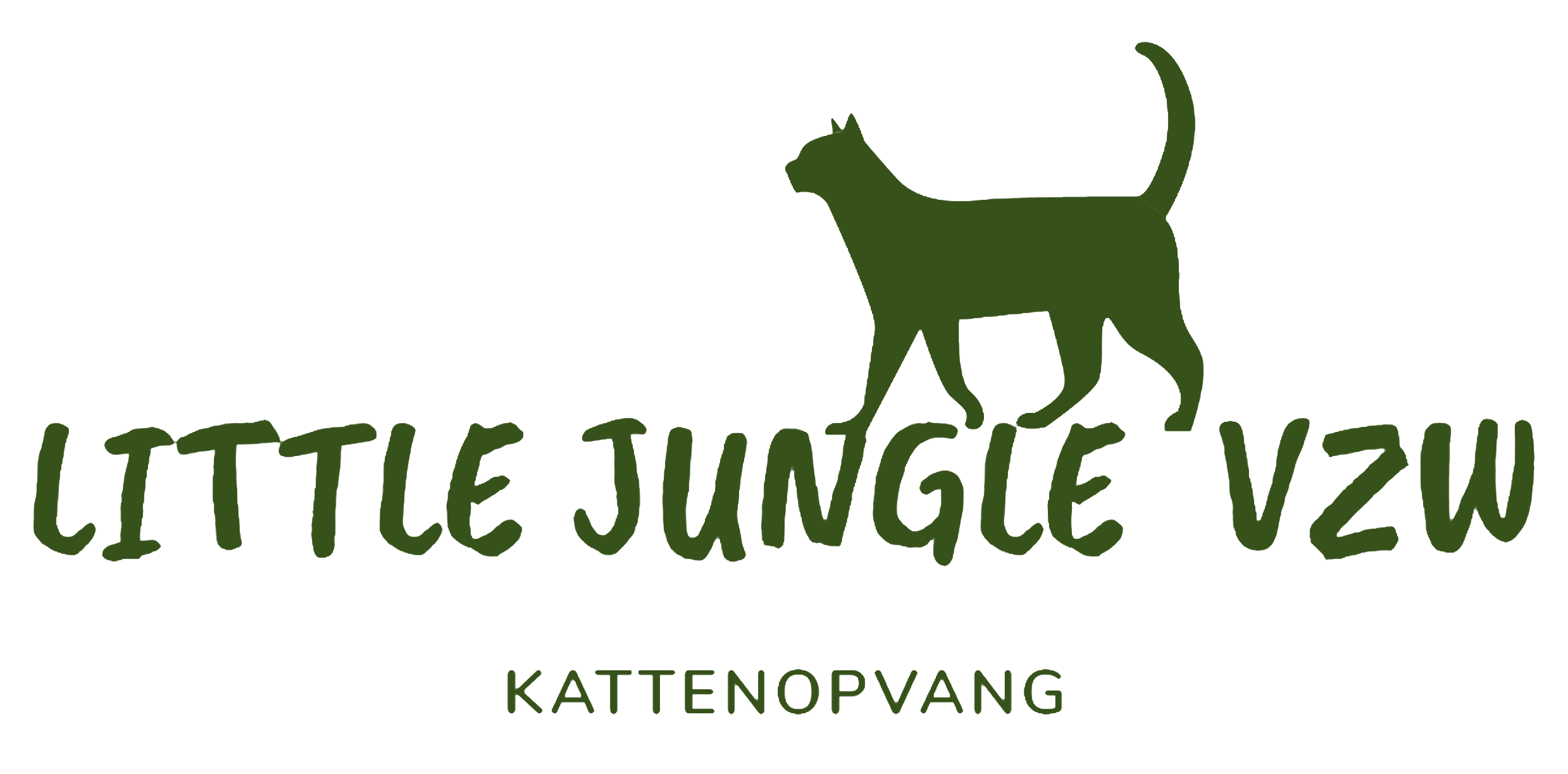 Little Jungle vzw logo