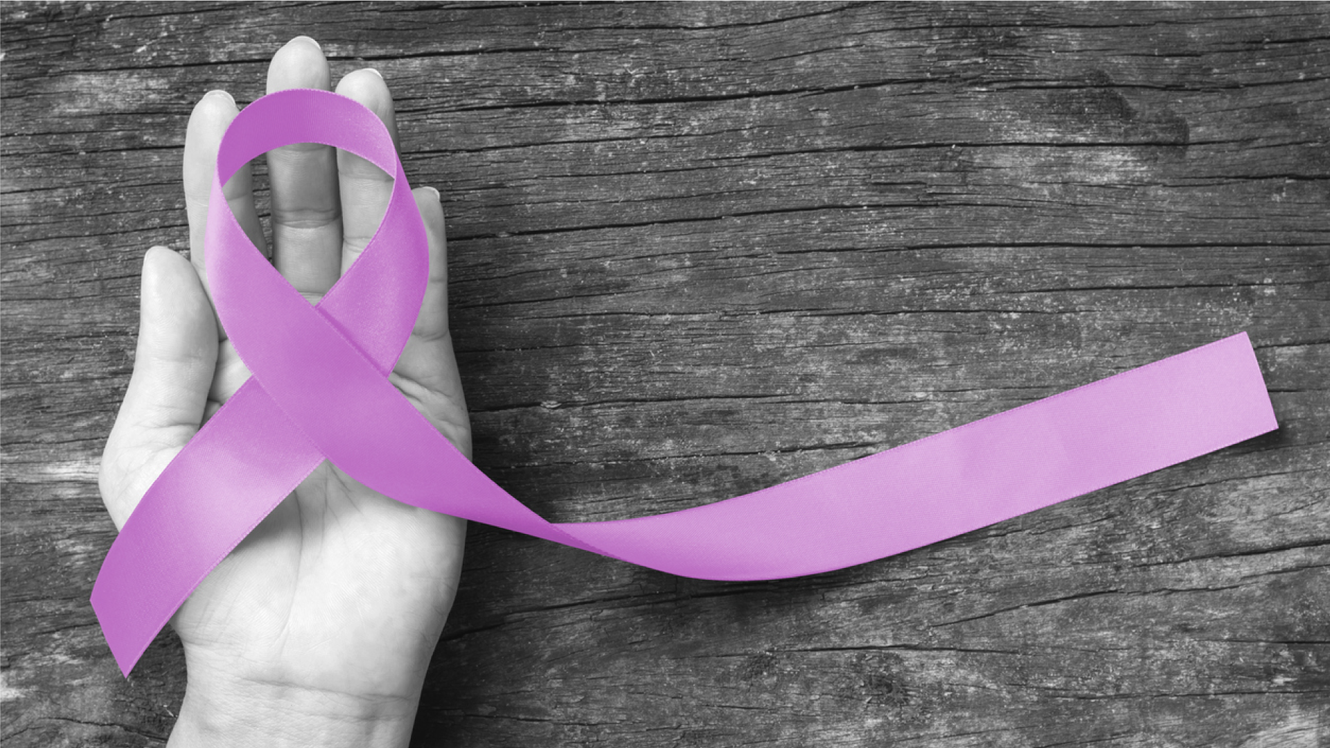 A Point of Hope Five Points of Hope (Powered by Donorbox)