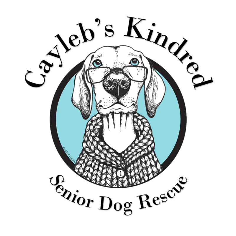 Cayleb's Kindred Senior Dog Rescue logo