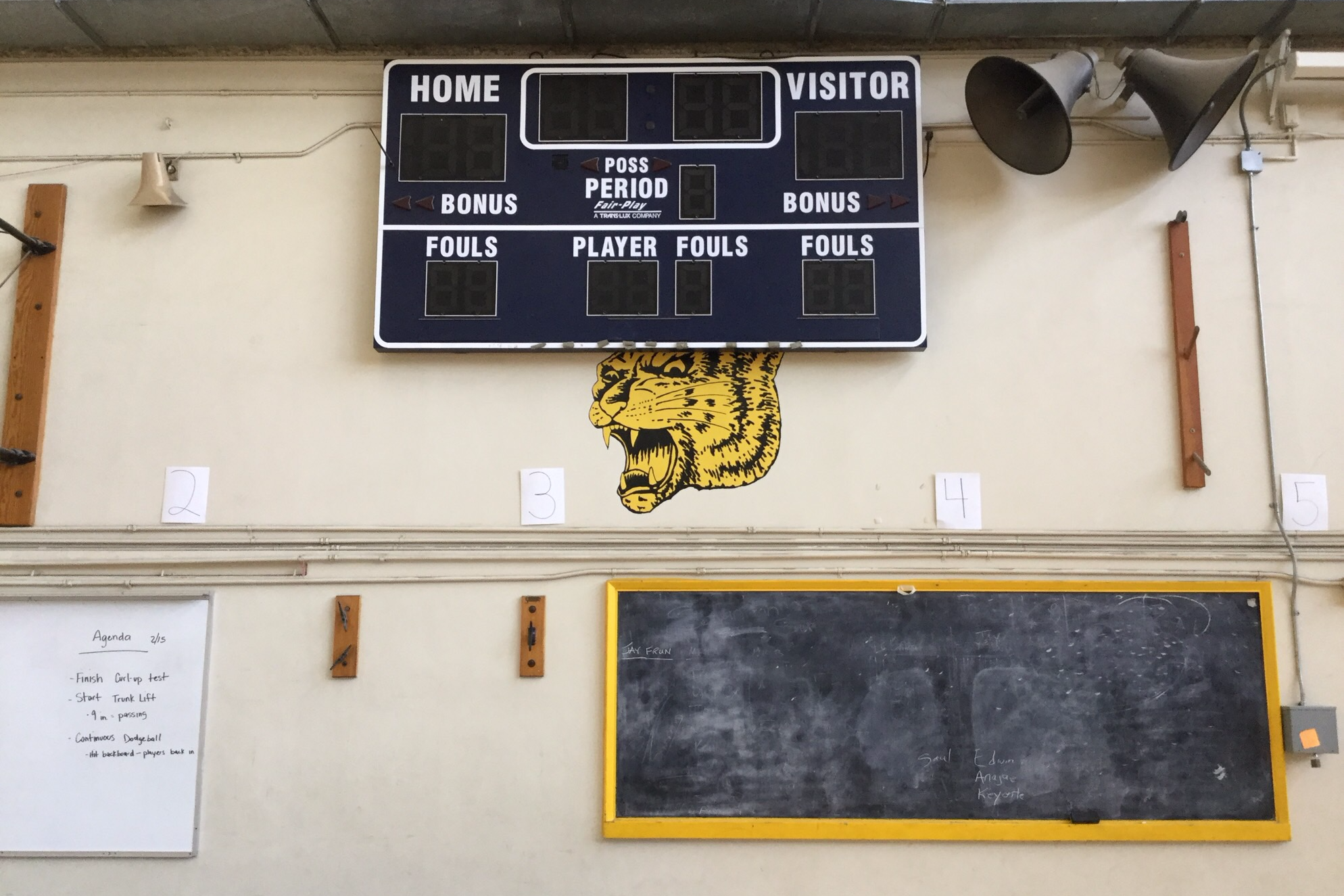 Gymnasium-Small