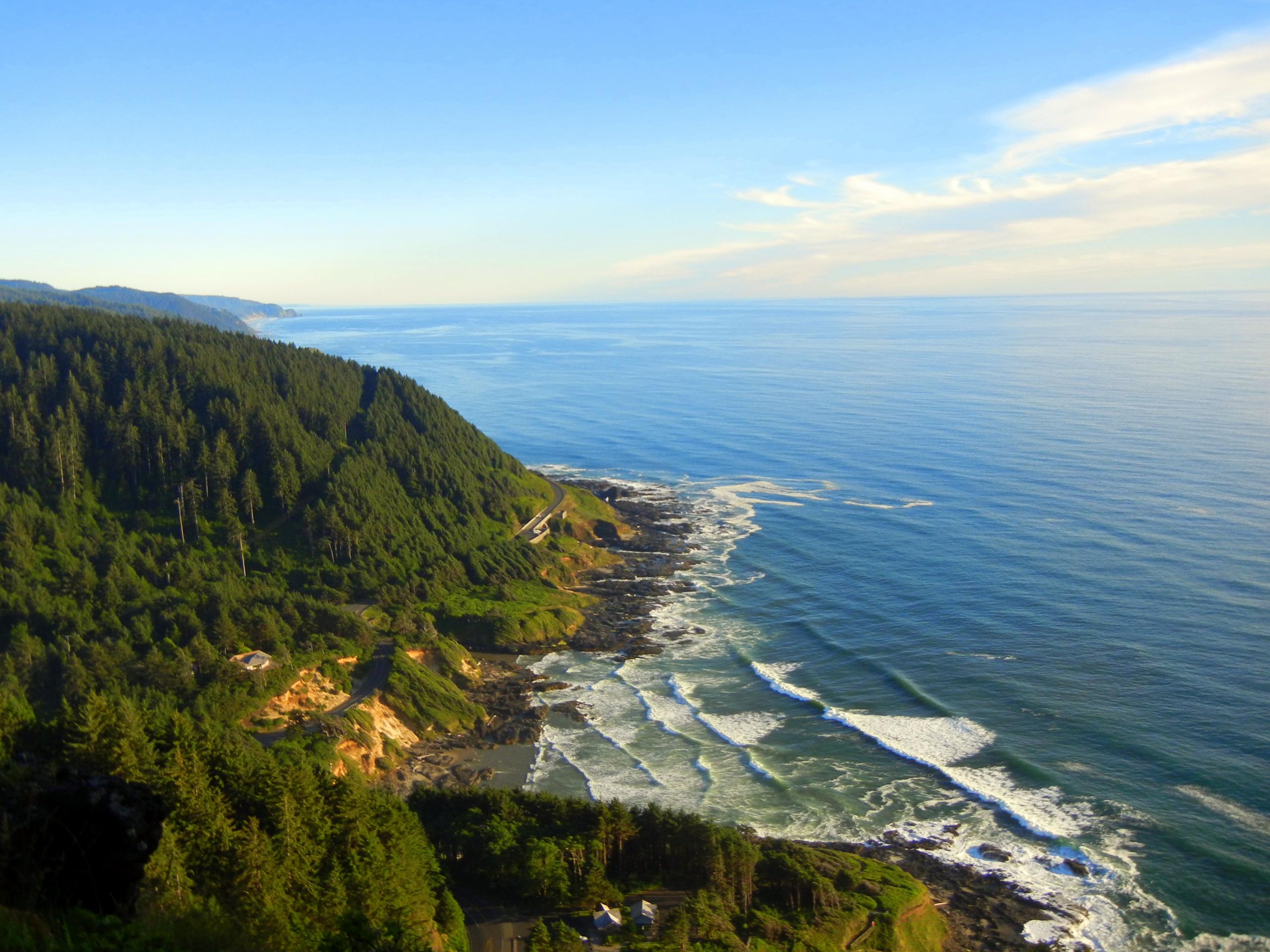 Coastal Kayak & Wildlife Tours with South Coast Tours - Brookings, OR - Medford