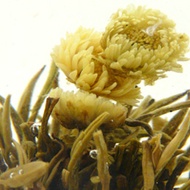 Chrysanthemum Burst from T2