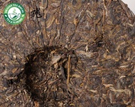 Special Grade Green Cake Xiaguan Puer Tea 2011 Raw from Dragon Tea House