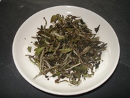 Pai Mu Tan from The Amber Rose Tea Company
