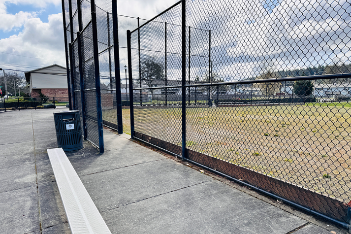Baseball Field Grass