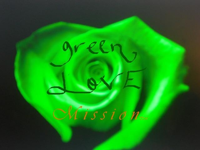 GREEN LOVE ROSE MISSION-GOLD 2015jpg
