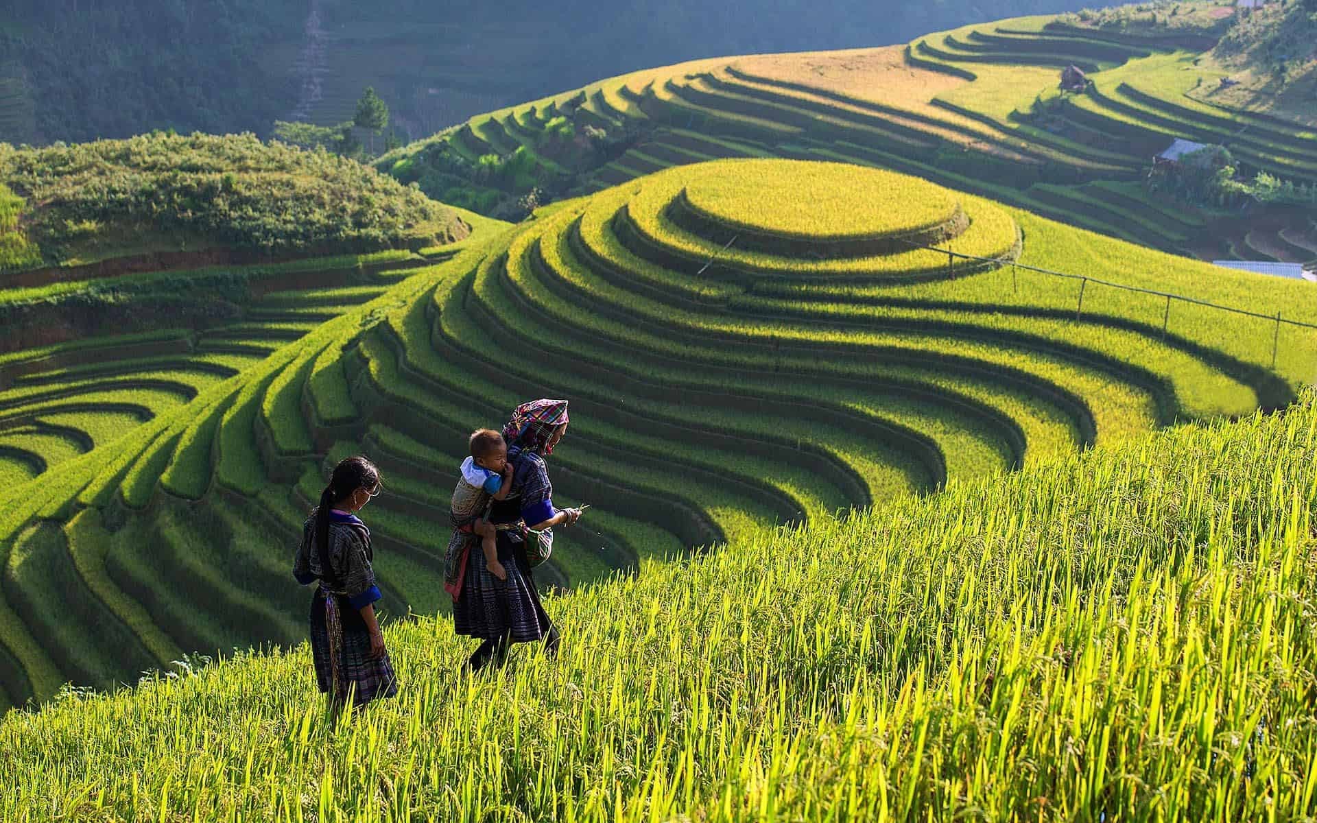 Trekking Day to Hill Tribe Villages and Rice Field Terraces