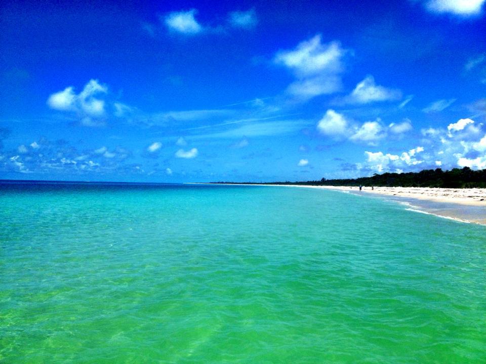 Water Activities at Endless Summer Charters in S.W. Florida - Fort Myers