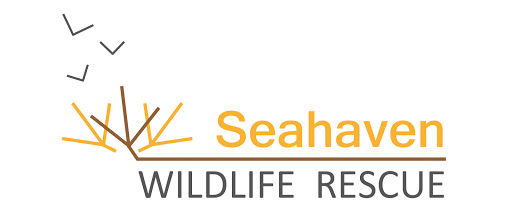 Seahaven Wildlife Rescue logo