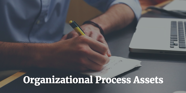 Actifs de processus organisationnels