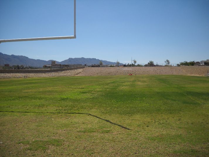 Playfield