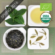 Fragrant Jade Bi Luo Chun Style Organic Green Tea  Lot 512 from Taiwan Tea Crafts