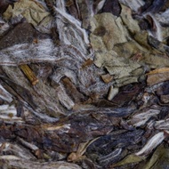 2020 Hindsight White Peony from West China Tea Company