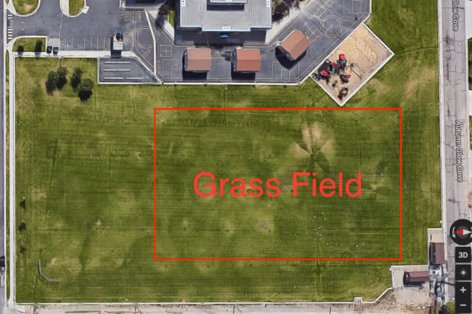 Main Field
