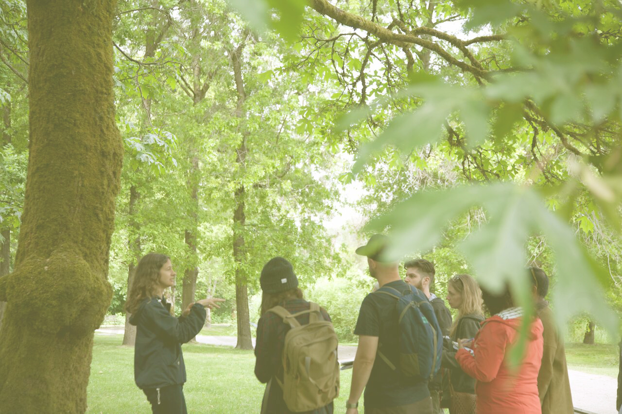 Foraging group