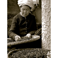 Jing Mai Fermented Puerh from JalamTeas