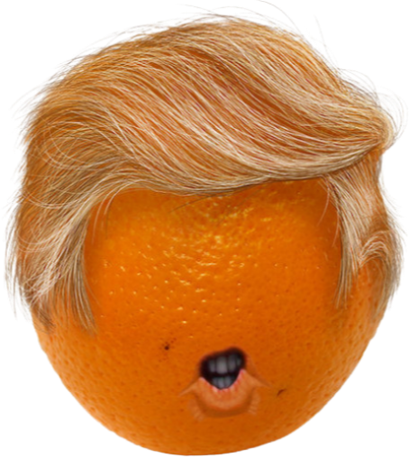 Turn Me Orange logo