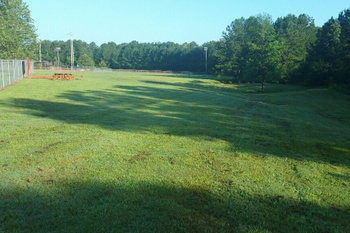 Field#2